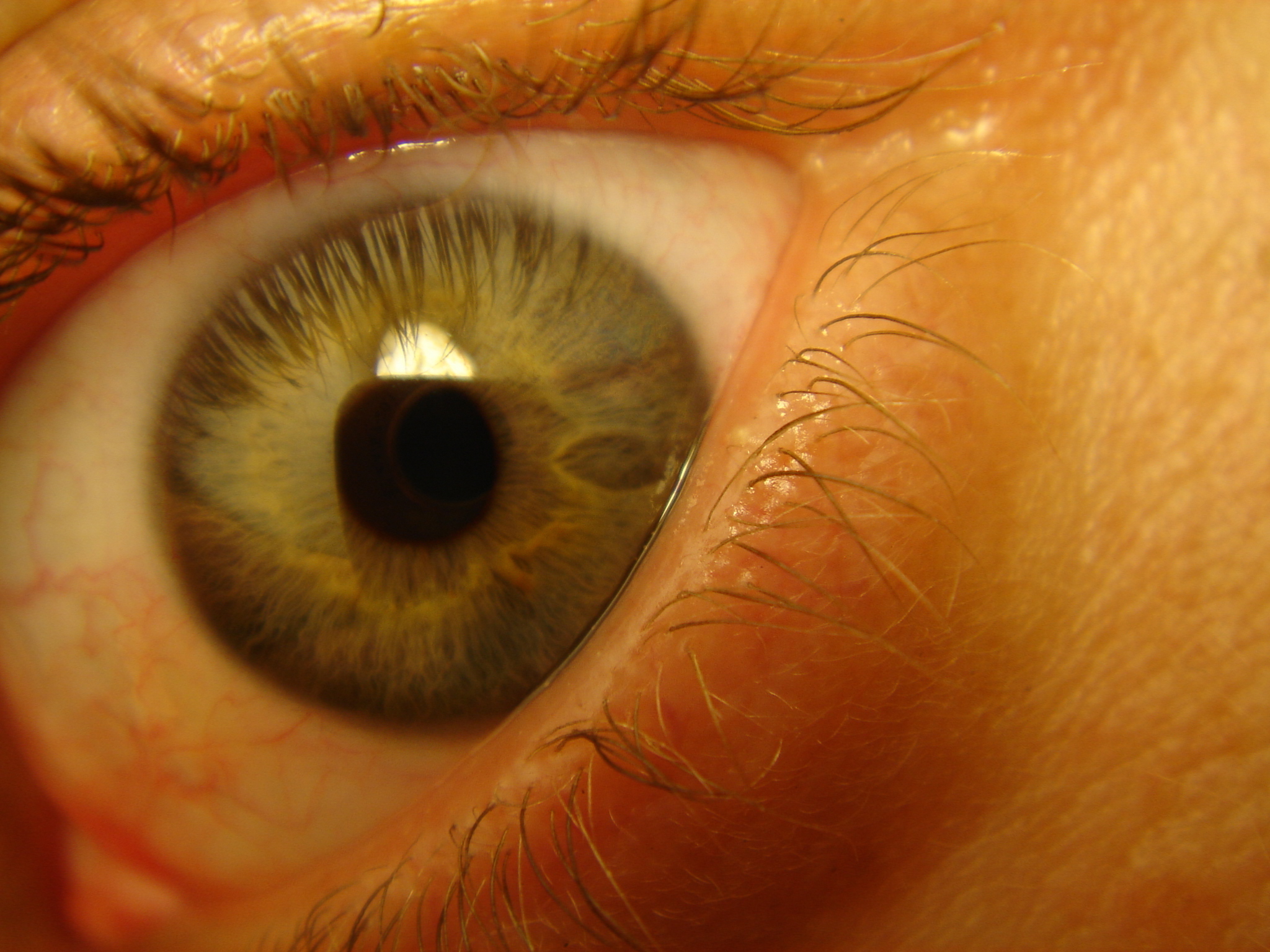 an image of a green eye with lashes