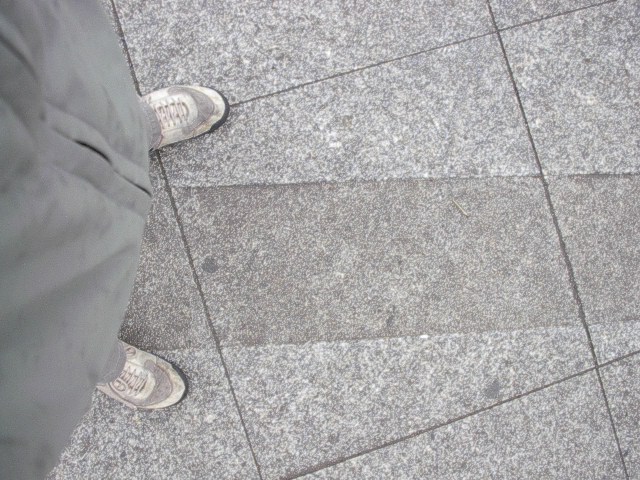 someone with sneakers standing on the pavement