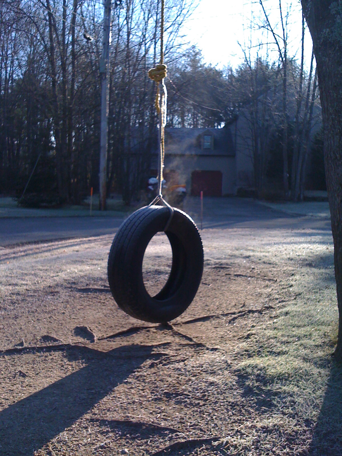 a tire swing that is suspended in a yard