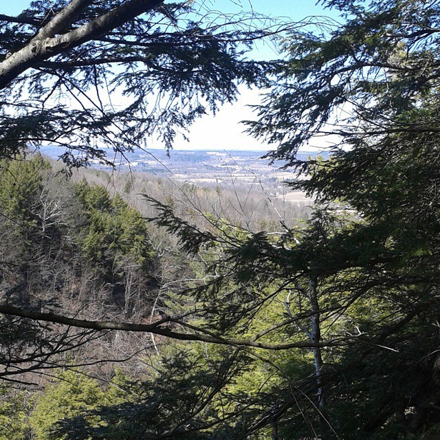 looking out from the top of a mountain on the edge of trees