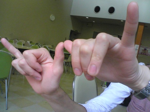 a person holding two fingers up and making the v sign