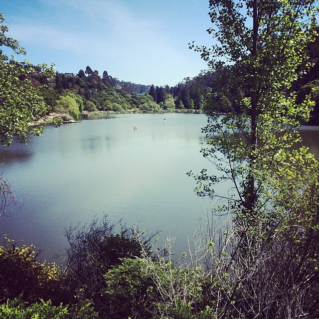 a lake is surrounded by some trees in the sunlight