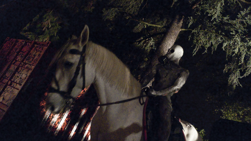 a man sitting on the back of a white horse