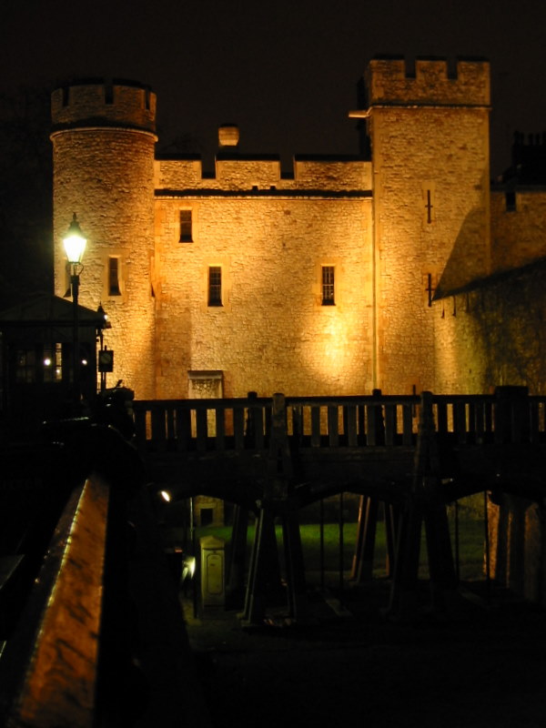 a castle is lit up at night with some lights