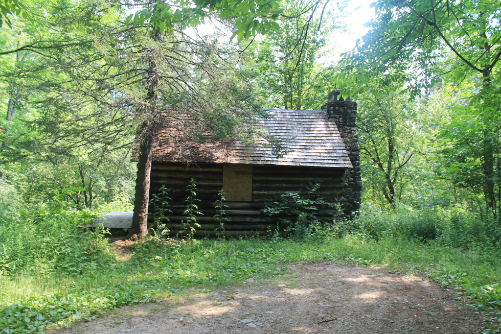 a dirt road and small log house surrounded by trees