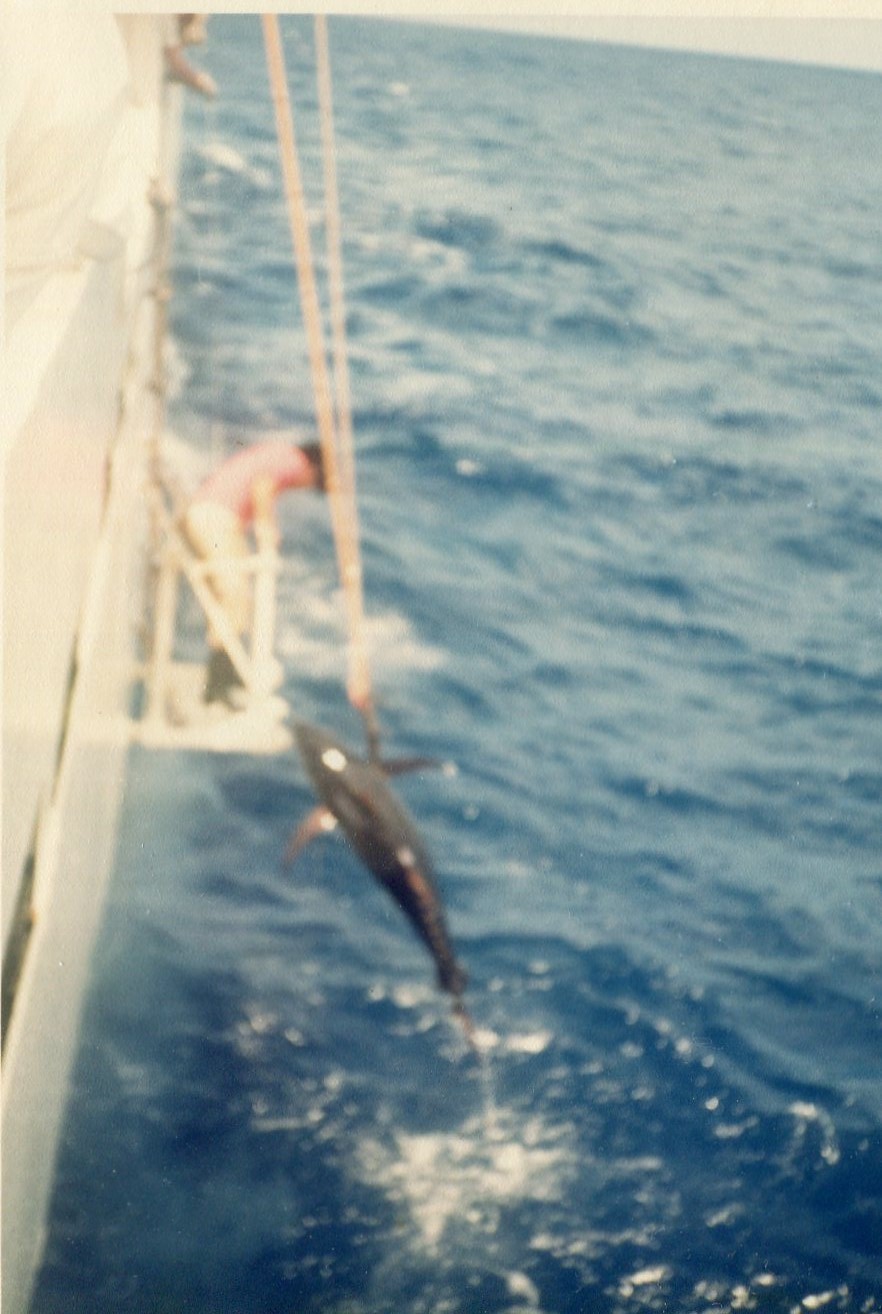 a fish hanging on the front of a boat in the ocean