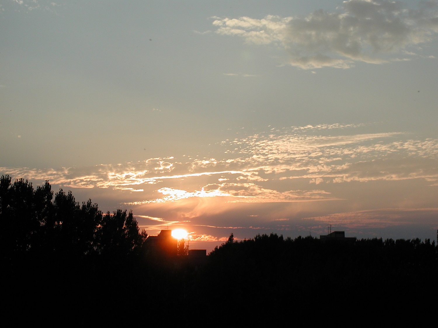 the setting sun behind a silhouette of trees and sky