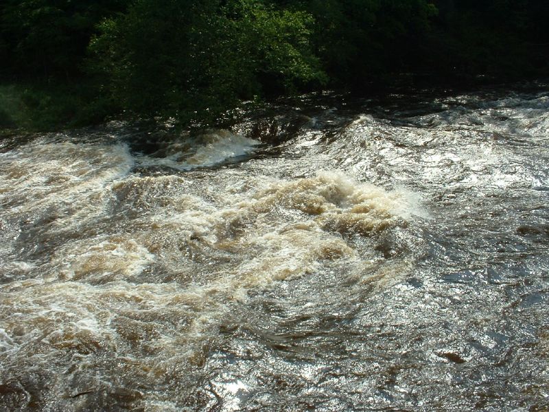 a water dam surrounded by trees and bushes