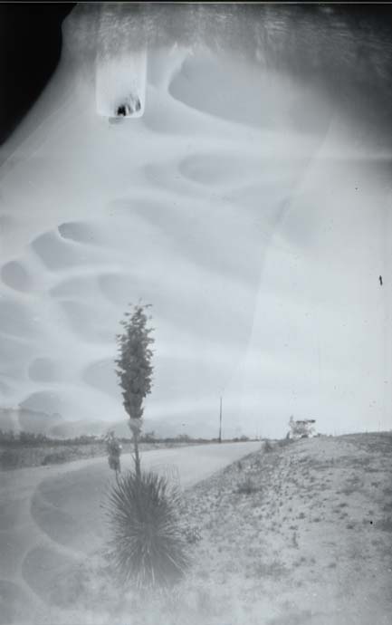 an old fashioned po shows a tree that has fallen over