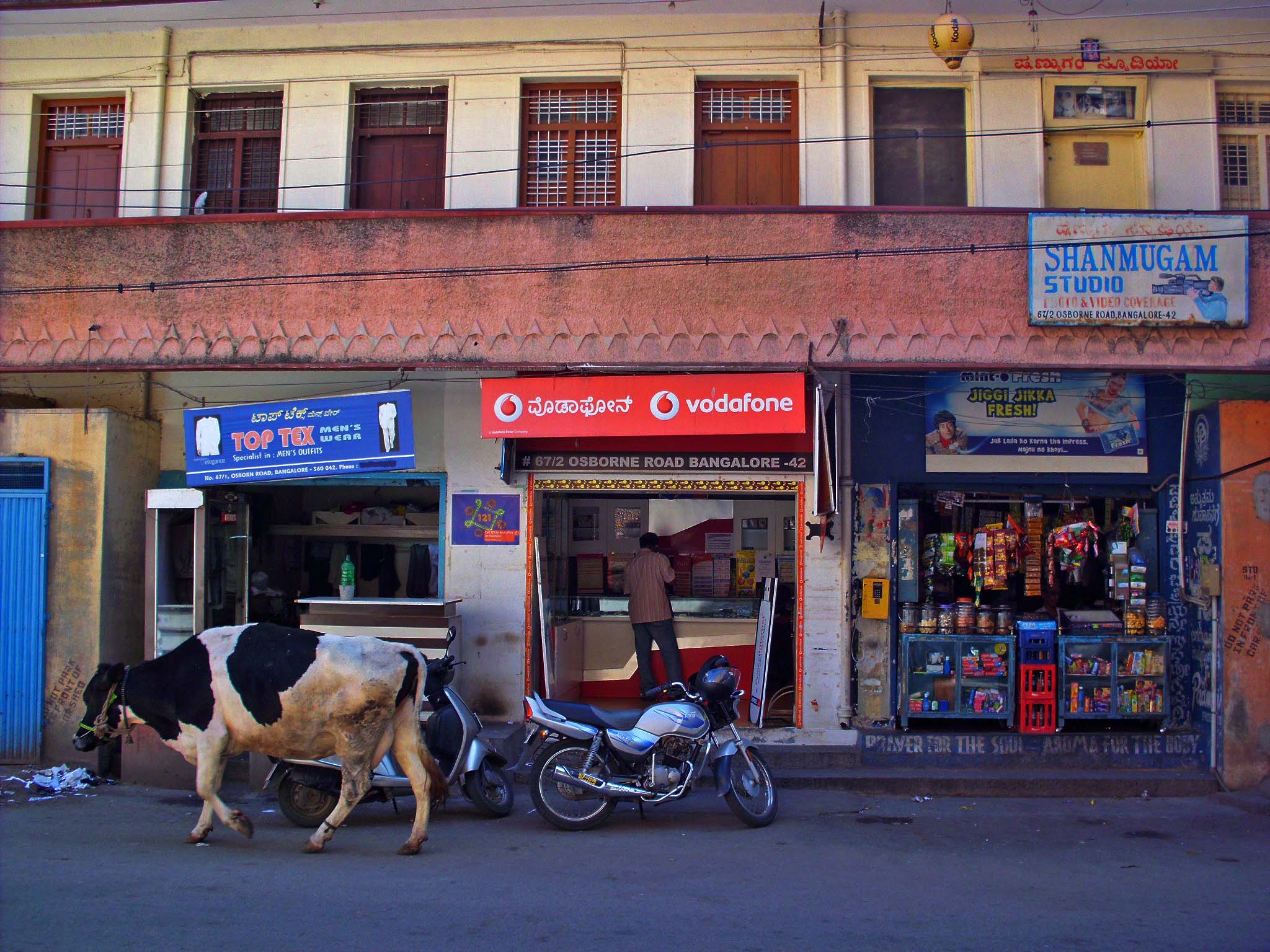 a man is walking through an alley with a cow