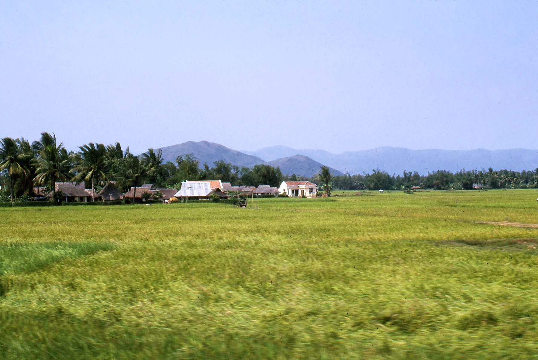 a farm area with grass, mountains and homes in the distance