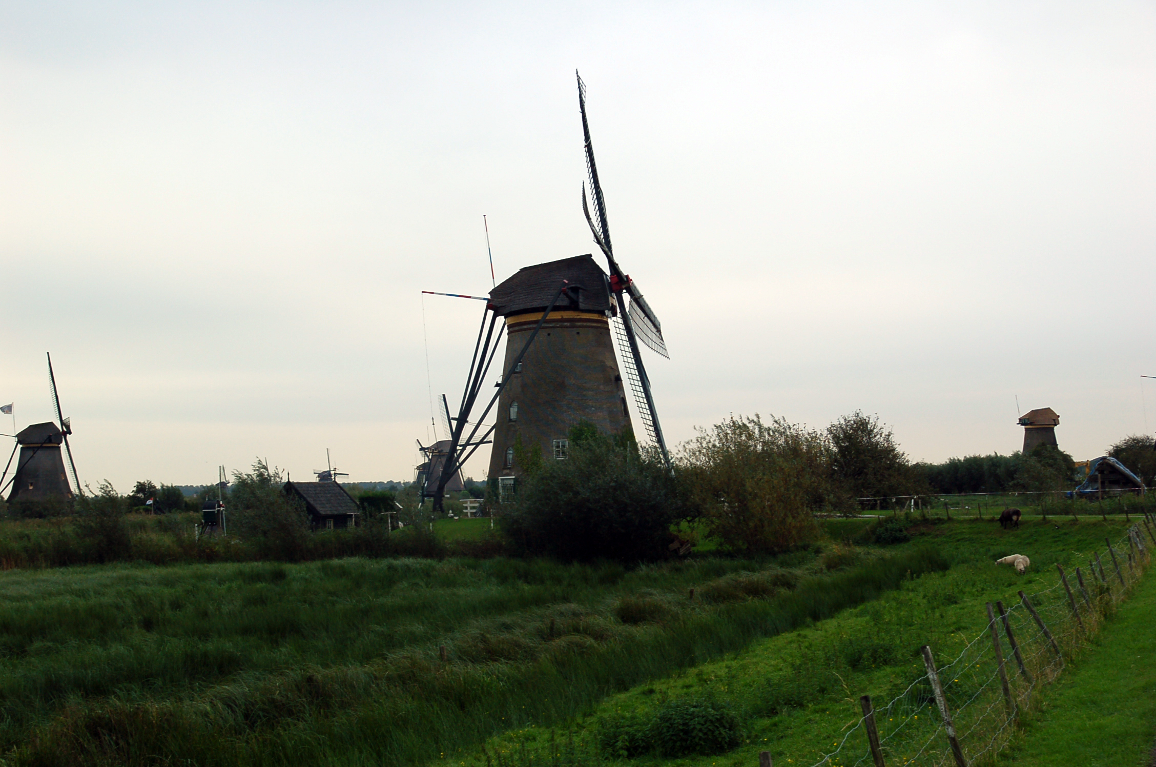 a herd of sheep grazing next to two tall windmills