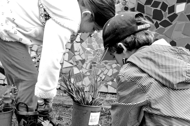 black and white pograph of a woman putting plants in potted planters