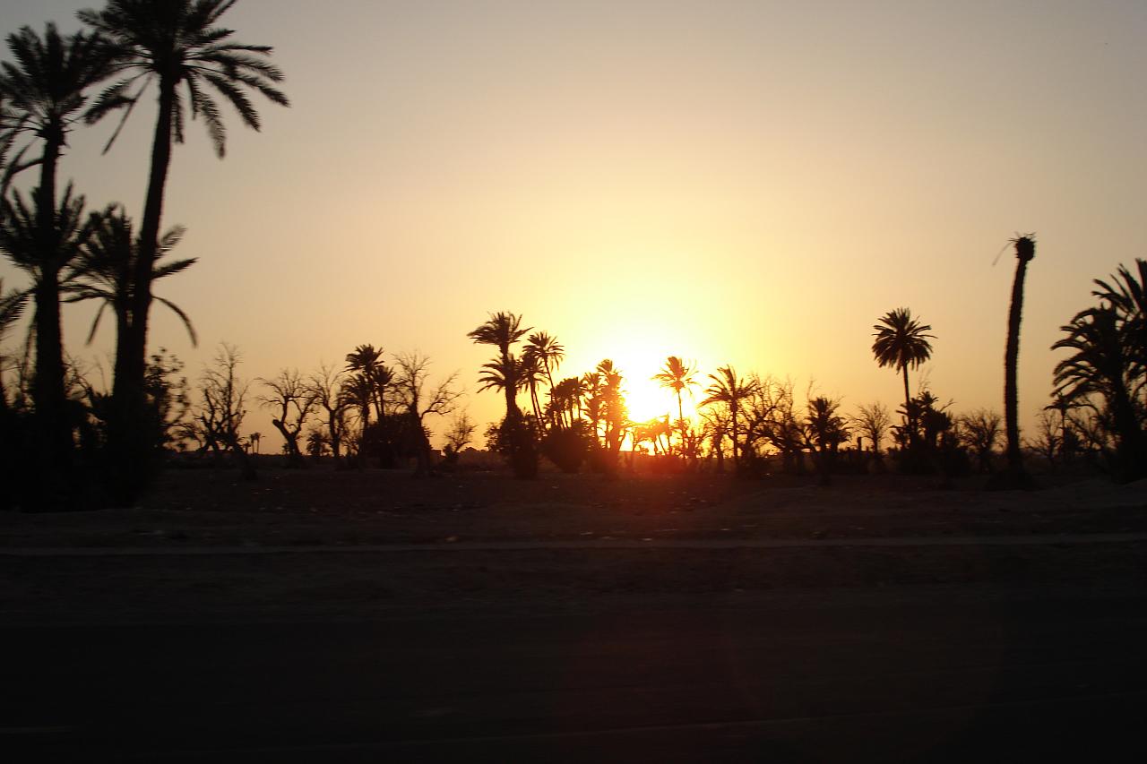 the sun sets over palm trees in a desert landscape
