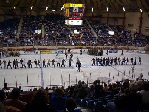 a hockey stadium with a large crowd and hockey players