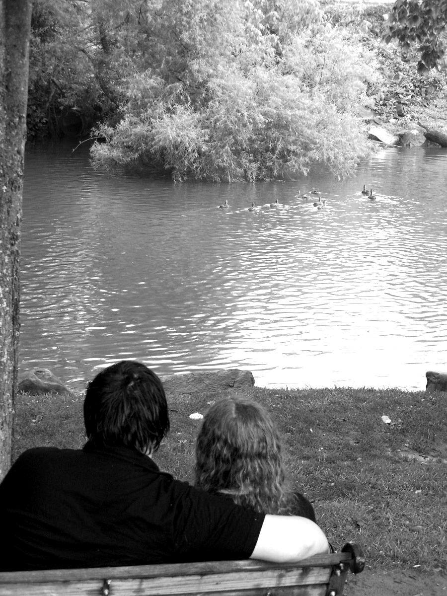 two people sitting on a bench watching ducks swim