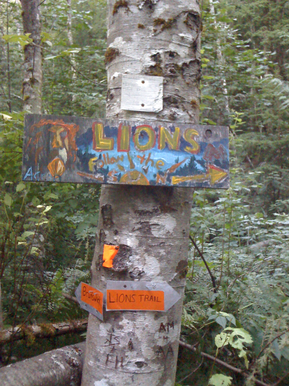 a tree has been painted with colorful signs