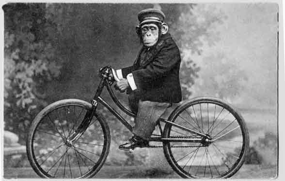 a monkey wearing a top hat and holding onto the wheel of a bike