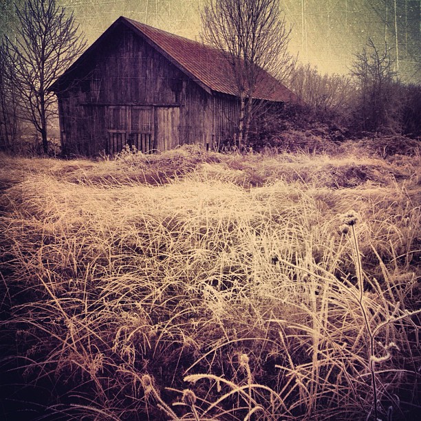 a sepia tone po of an old, abandoned barn in the woods