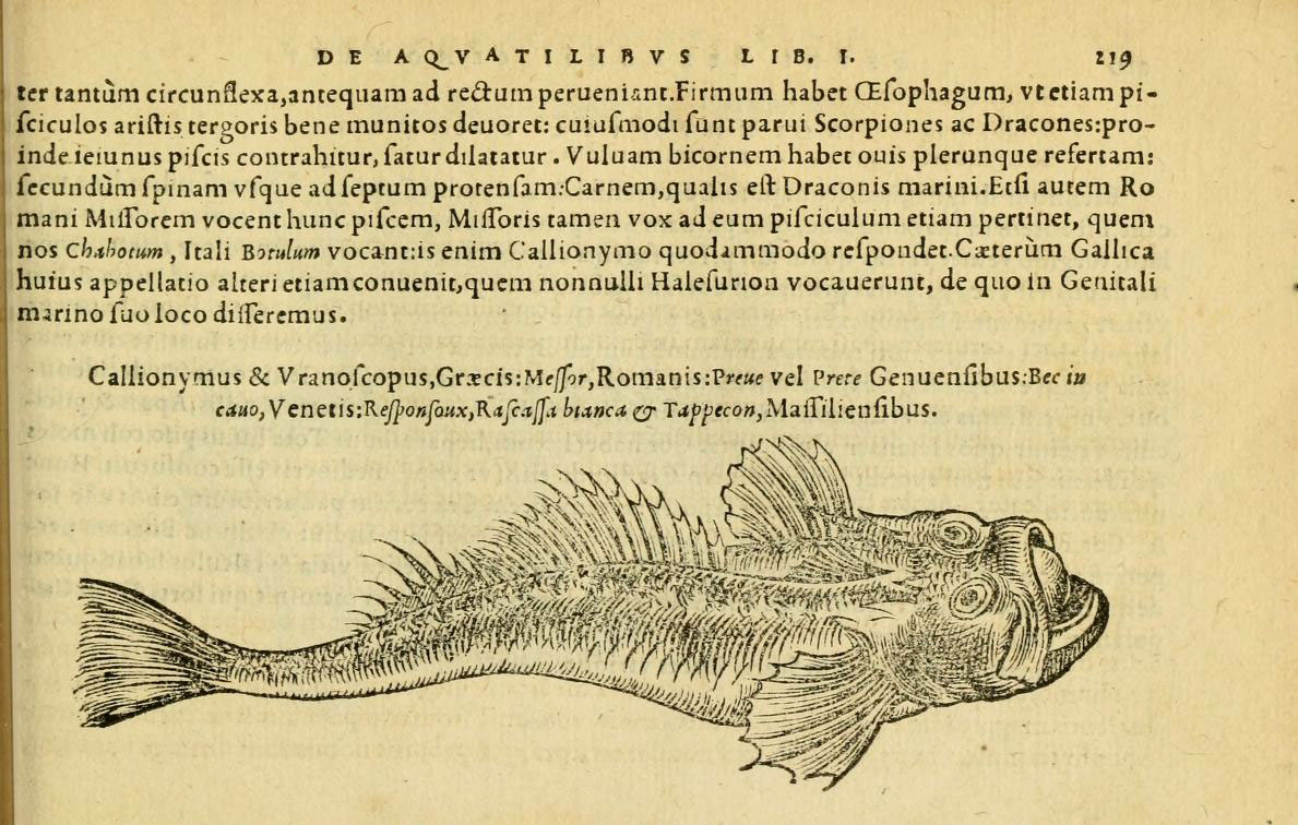 the front page of a book with some fish