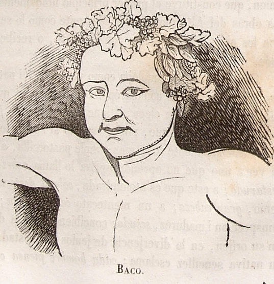 a drawing of an old woman with floral hairpiece