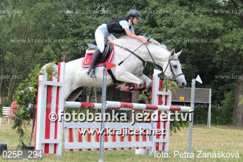a white horse and rider jumping over a jump