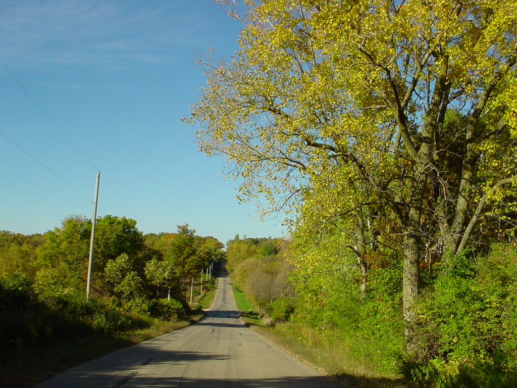 an image of a tree lined roadway on a sunny day
