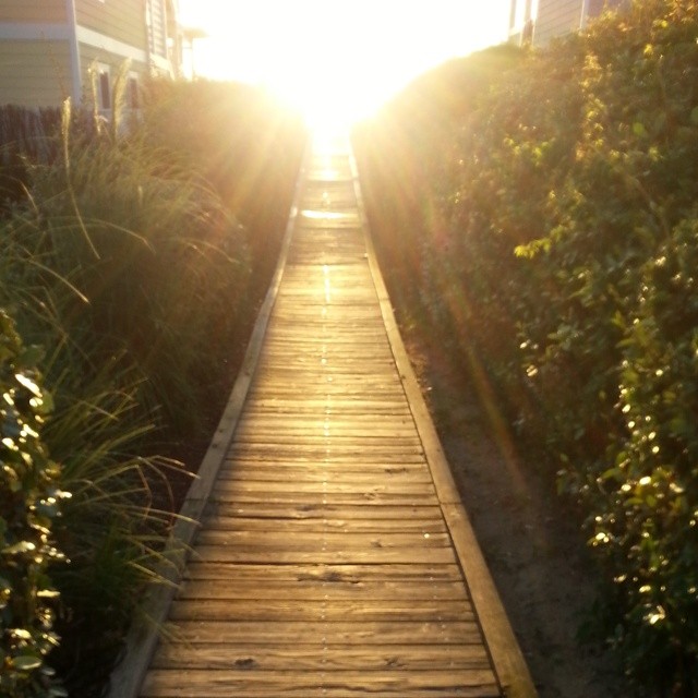 a wooden path leading up to an area with houses