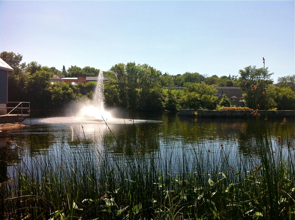 the water sprays up at the park area