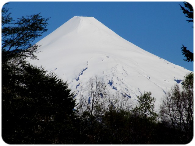 a snow covered mountain and trees against a blue sky