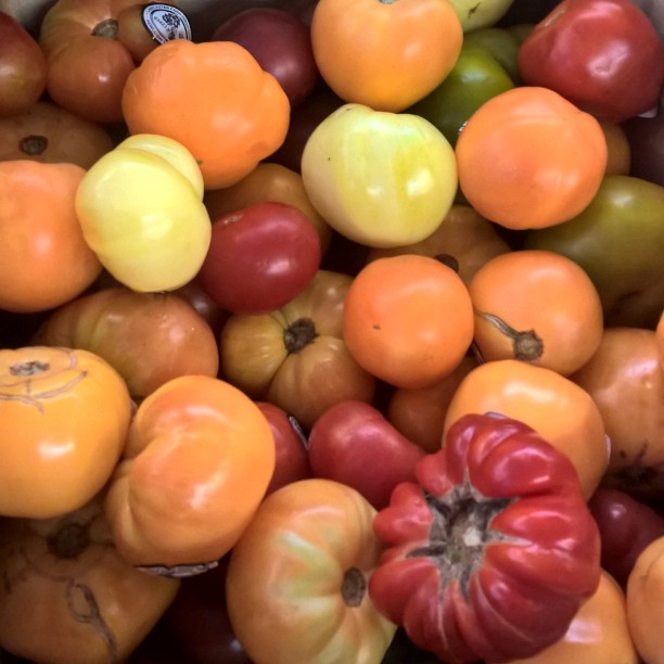 a large number of different tomatoes, from green to red