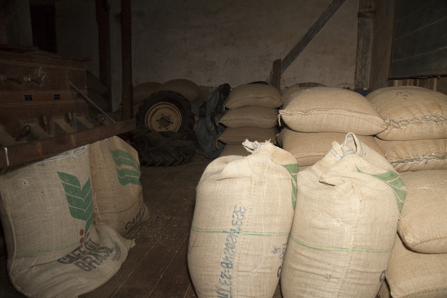 large bags filled with rice sit on the ground