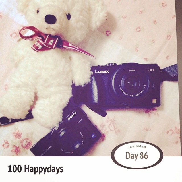 a teddy bear on a bed with cameras, and an extra price card