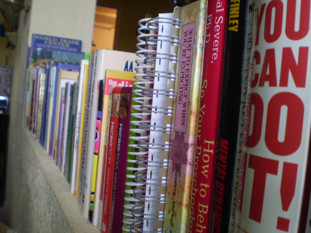 there are many books that are lined up on the shelf