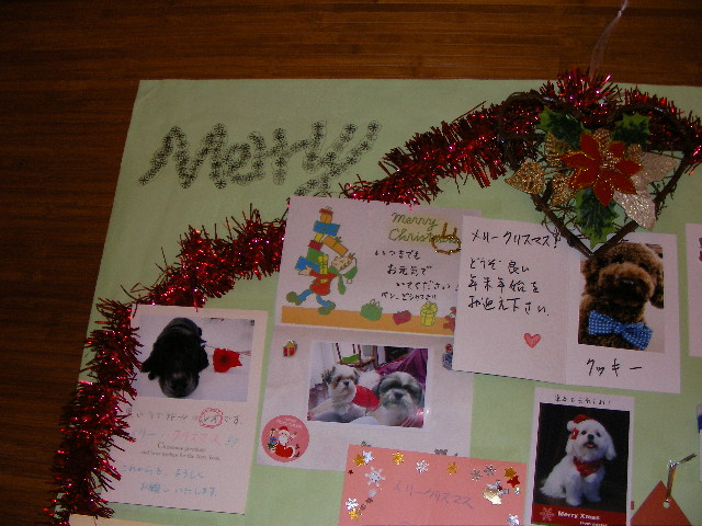 a bulletin board with cards and pictures of dogs and their owners