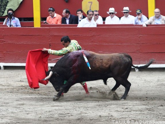 a man is trying to rope a bull as a crowd looks on