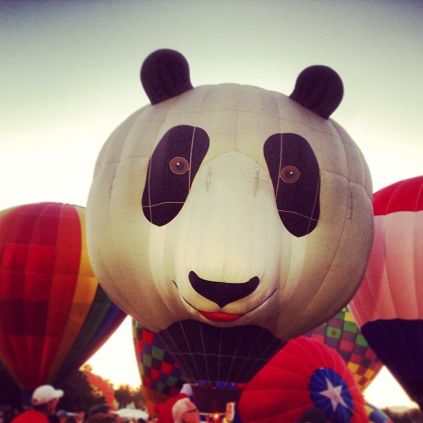 balloons are flying in the sky with animals on them