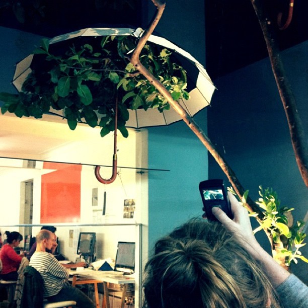 a woman takes a picture with her phone in a tree office