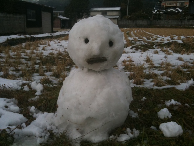 a snow man that is sitting in the grass