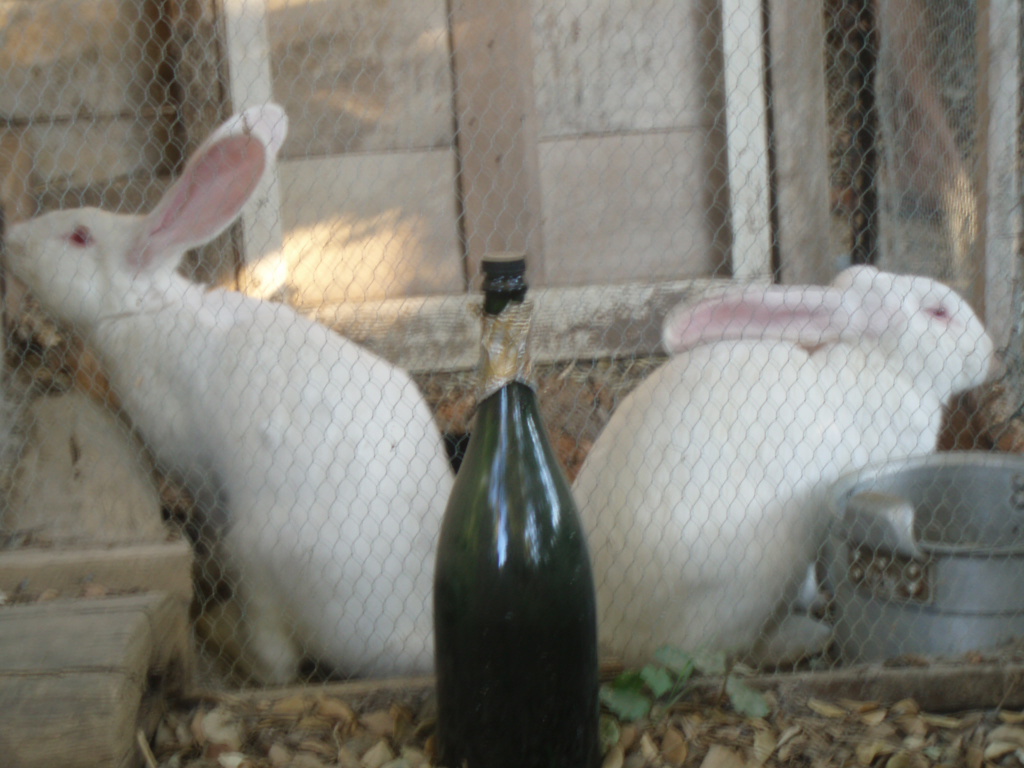 a bottle of wine with some rabbits in the background