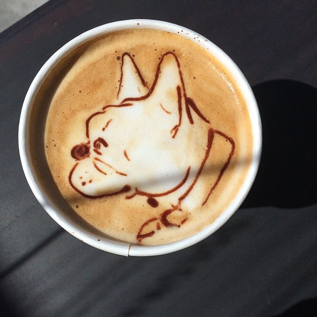 a cup of coffee with a dog drawn on the top
