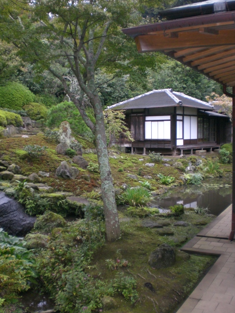 a house in a japanese garden surrounded by a stream