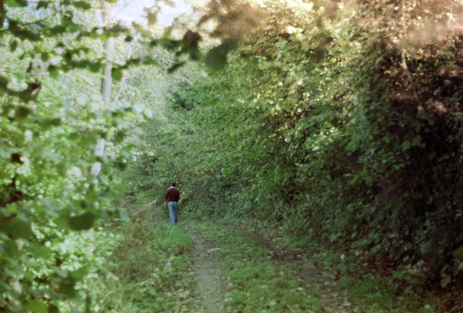 a person walks in a path through a wooded area