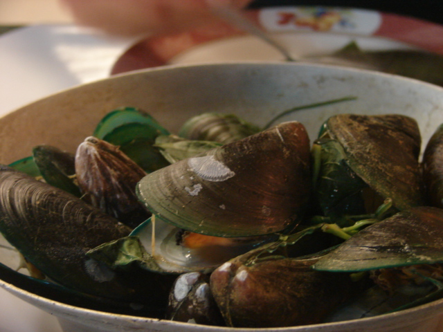 clams in a bowl with onions and green herbs