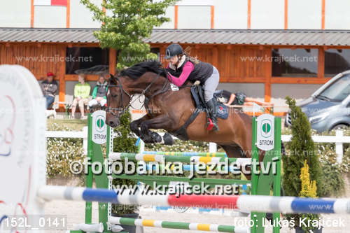 a rider is jumping a horse over an obstacle