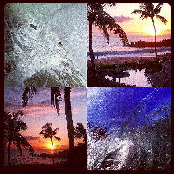 a collage of four pictures depicting a tropical sunset