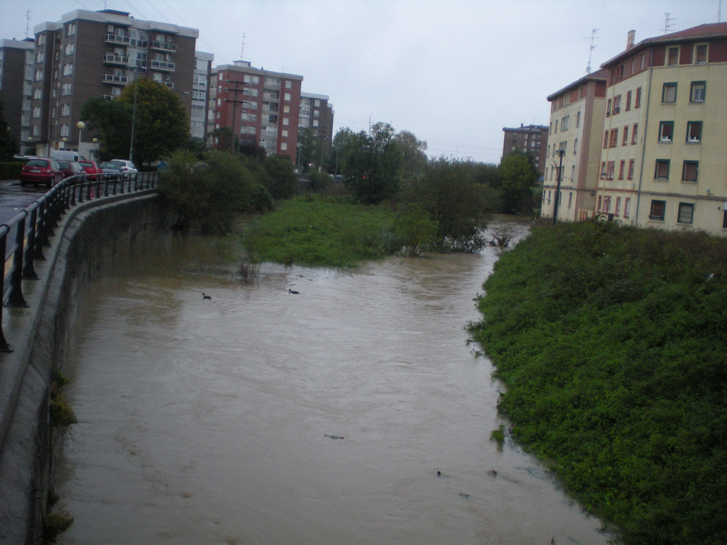 cars are driving along side of the water near buildings