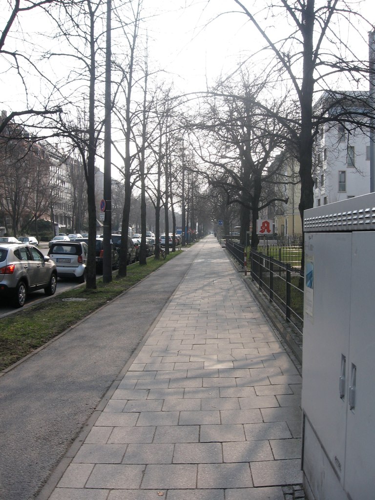 there is a very wide brick road lined with trees