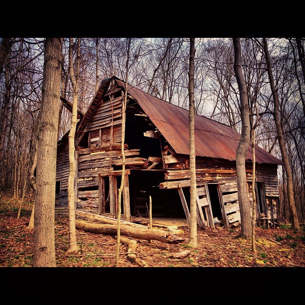 an old run down house in the woods