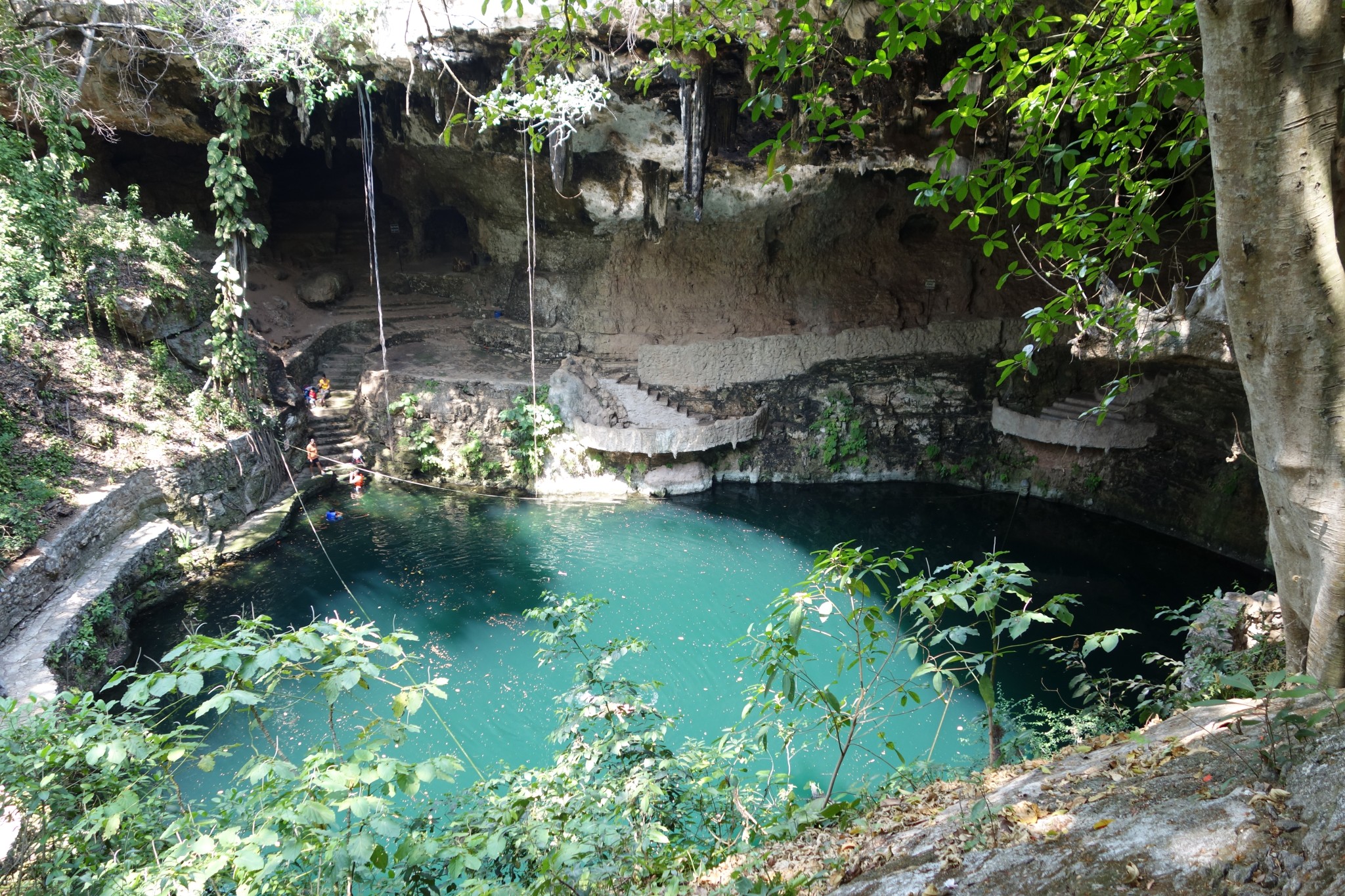 a cave with large blue lake surrounded by jungle